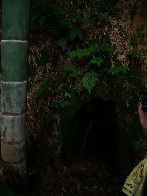DSC05594f.jpg