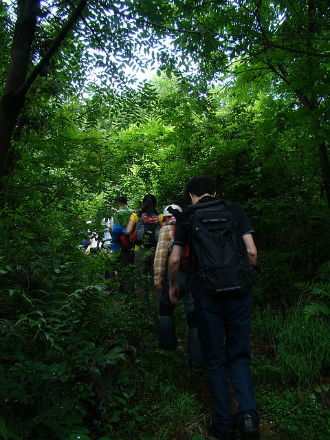 DSC05599f.jpg