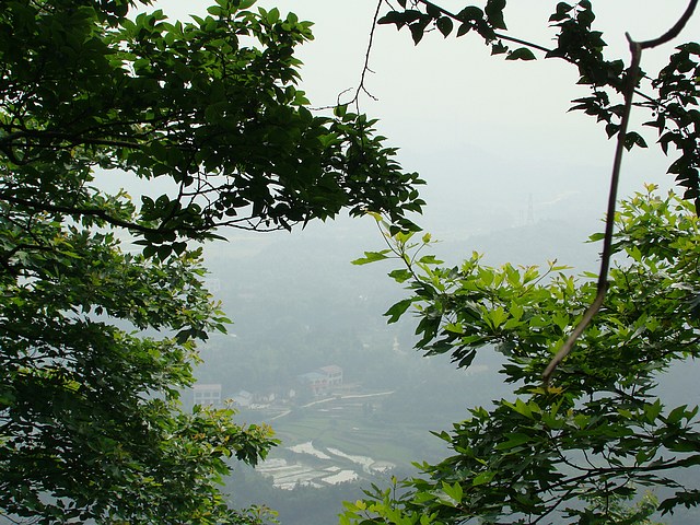 DSC05603f.jpg
