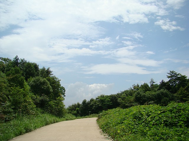 DSC05632f.jpg