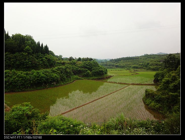 DSC03801.jpg