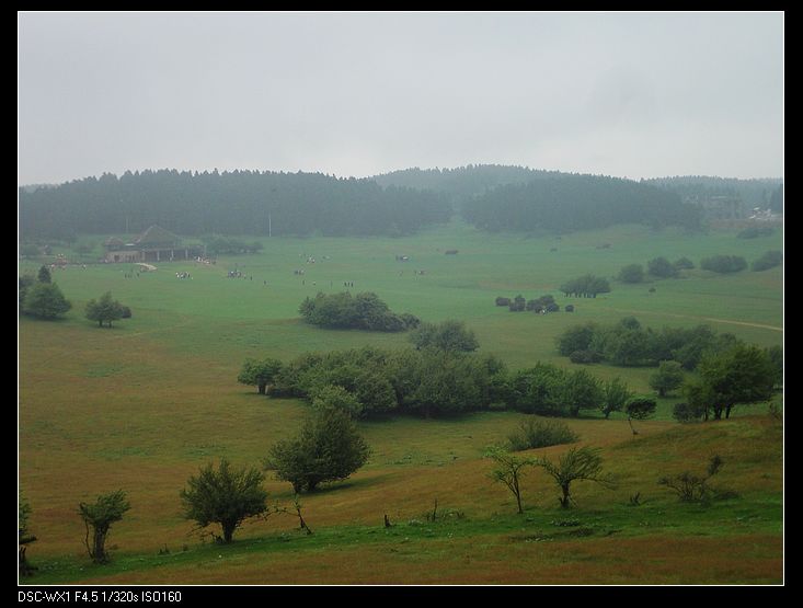 DSC04021.jpg