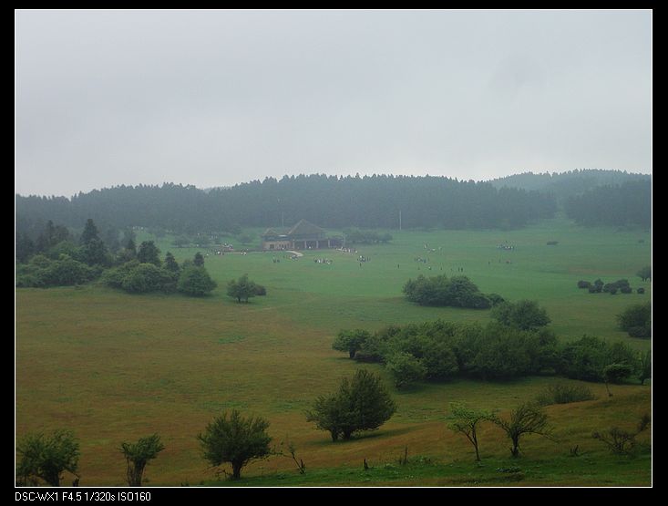 DSC04023.jpg