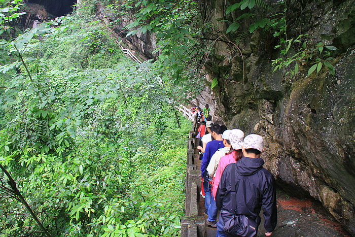 IMG_7868.jpg