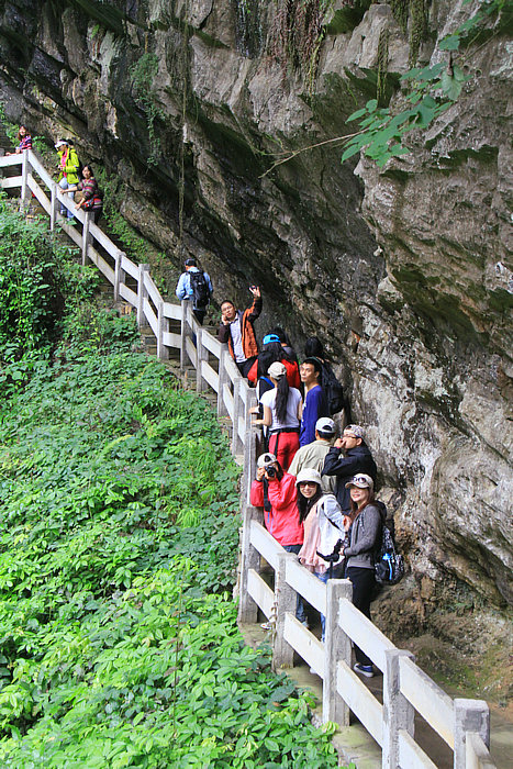 IMG_7873.jpg