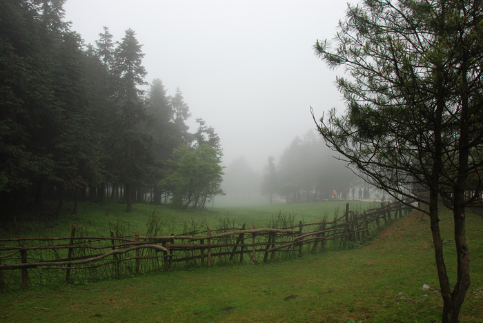 DSC_8954.JPG