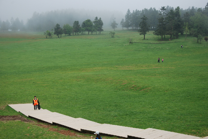 DSC_8996.JPG