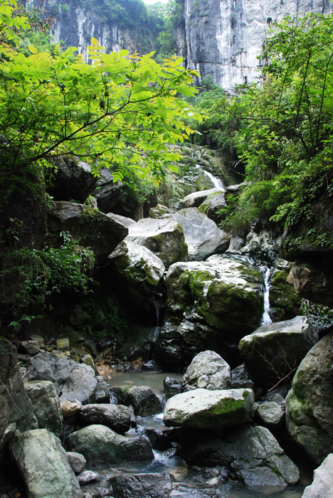 DSC_9313.JPG