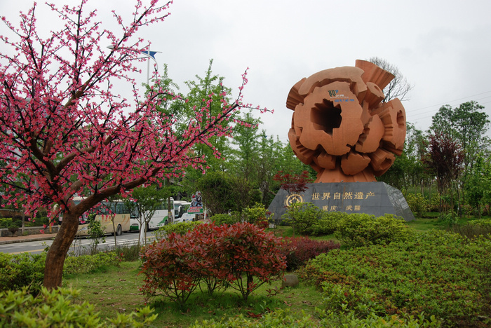 DSC_9326.JPG