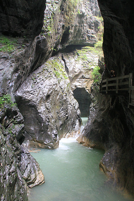 IMG_7961.jpg