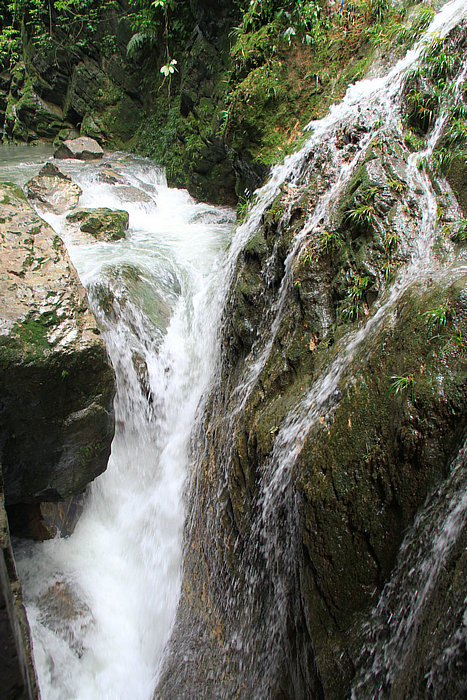 IMG_7962.jpg