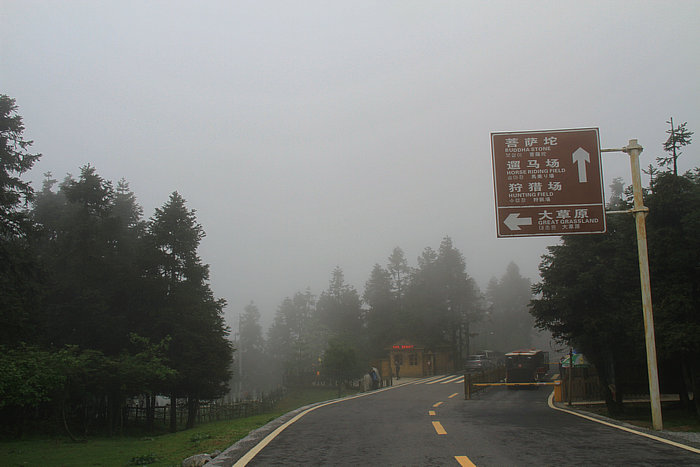 IMG_8006.jpg