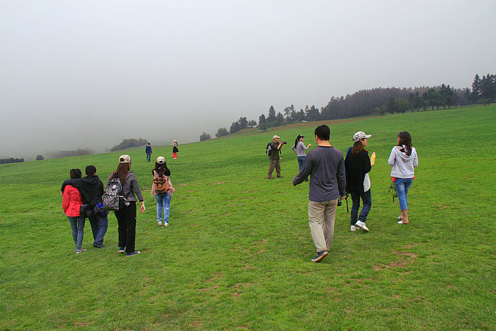 IMG_8035.jpg