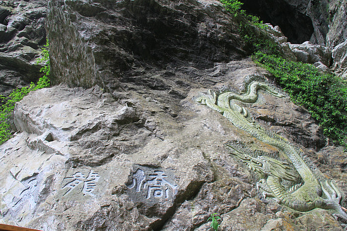 IMG_8218.jpg