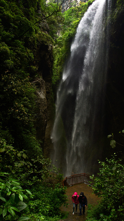 DSC06161.jpg