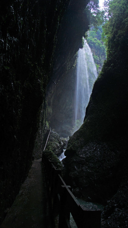 DSC06220.jpg