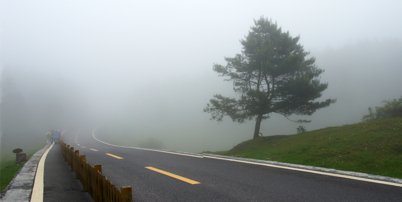 DSC06287.jpg