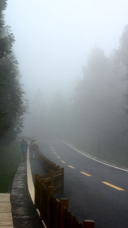 DSC06295.jpg