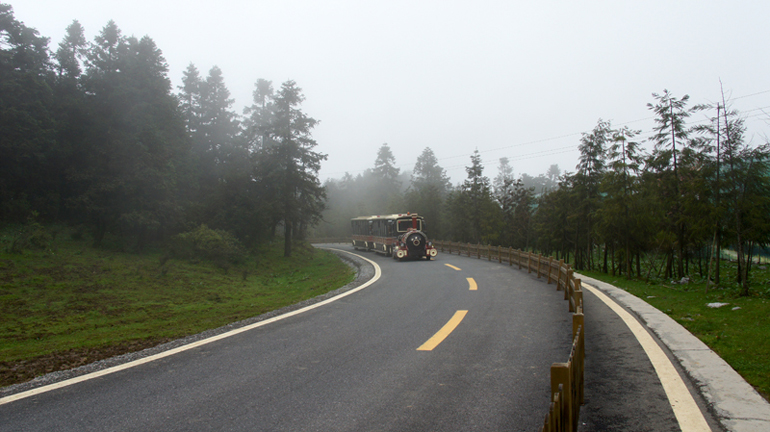 DSC06284.jpg