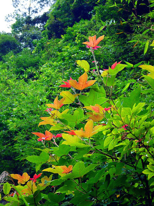 dscf4398_����.jpg