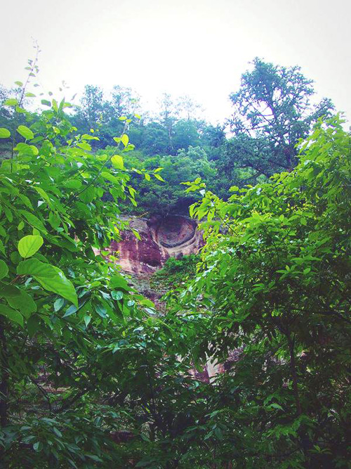 dscf4384_����.jpg