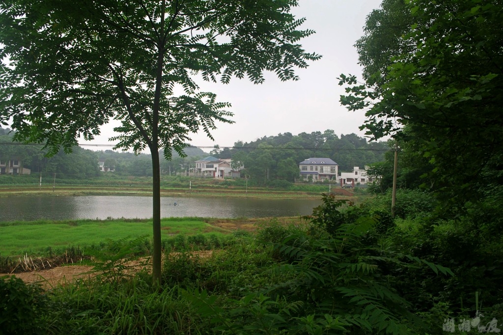 conew_imgp1421.jpg