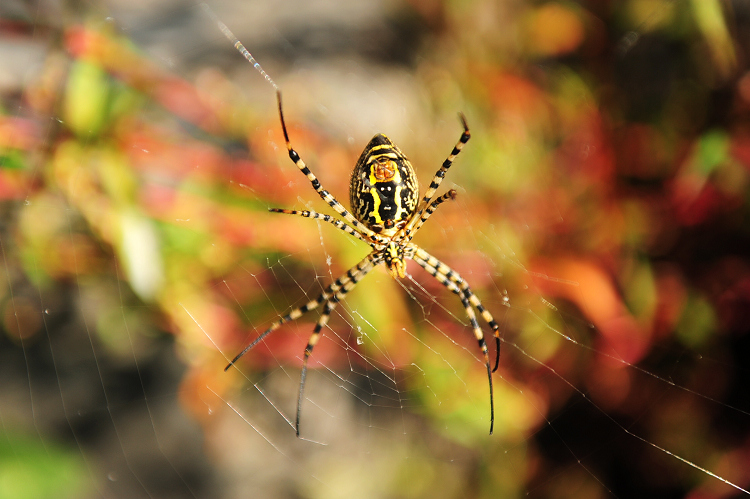DSC_3443.JPG