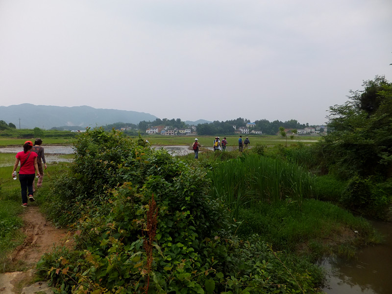 dscf5211_����.jpg