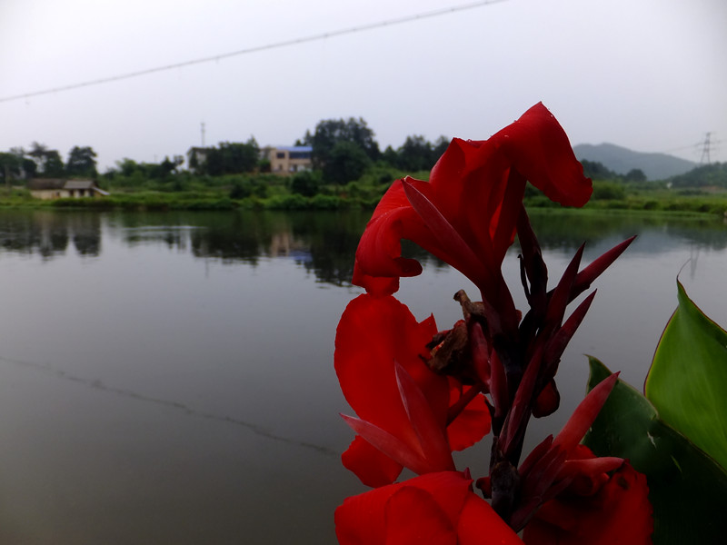 dscf5233_����.jpg