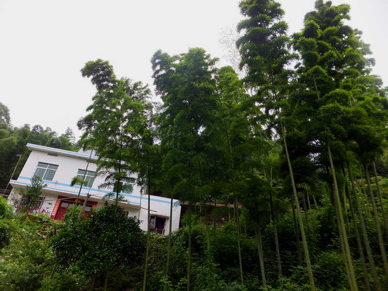 dscf5239_����.jpg