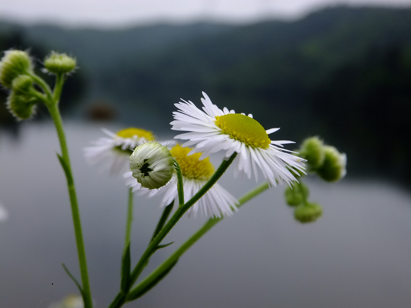 dscf5257_����.jpg