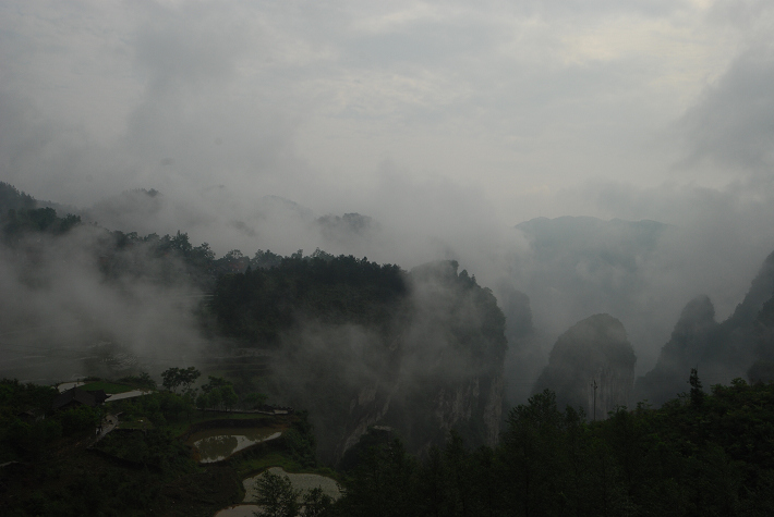DSC_2689.JPG
