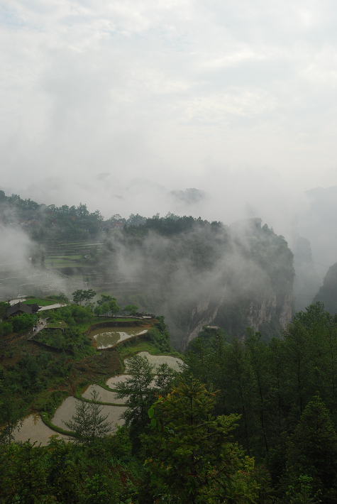 DSC_2691.JPG