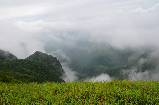 DSC_6465.jpg