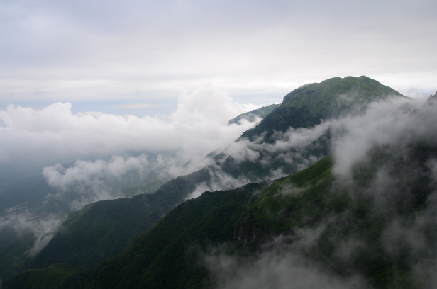 DSC_6484.jpg