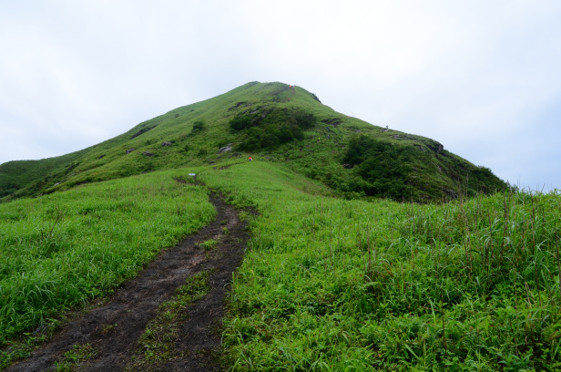 DSC_6495.jpg