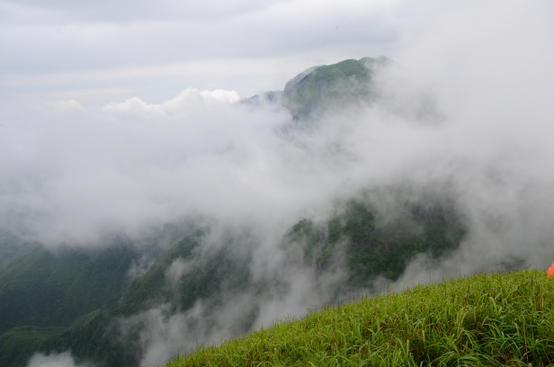 DSC_6466.jpg