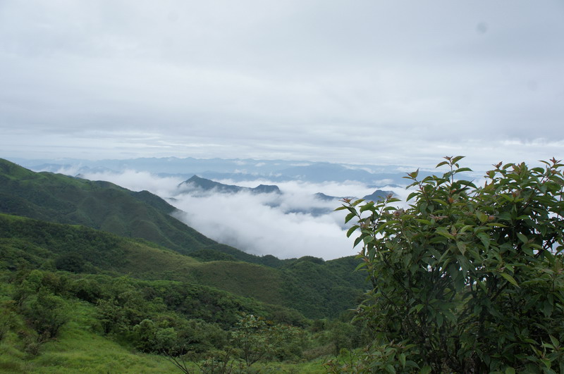 DSC03187_��С��С.JPG