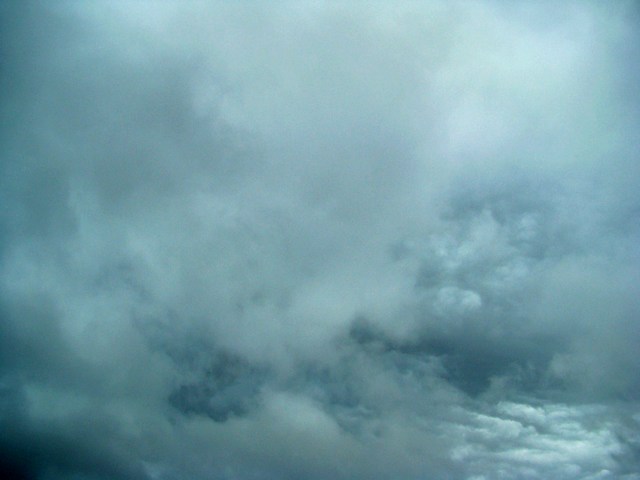 DSC05130f.jpg
