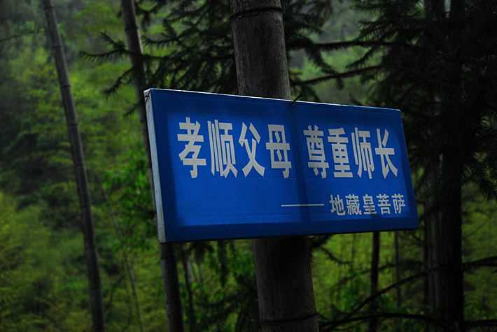 200804251209048312552-258587.jpg