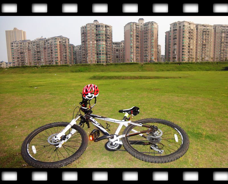 nEO_IMG_DSC04225.jpg