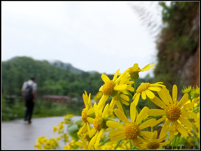 dscf1829_����.jpg
