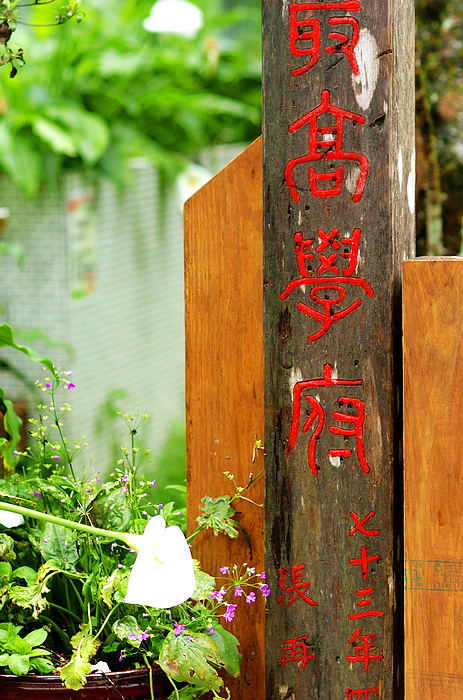 nEO_IMG_DSC_0780.jpg