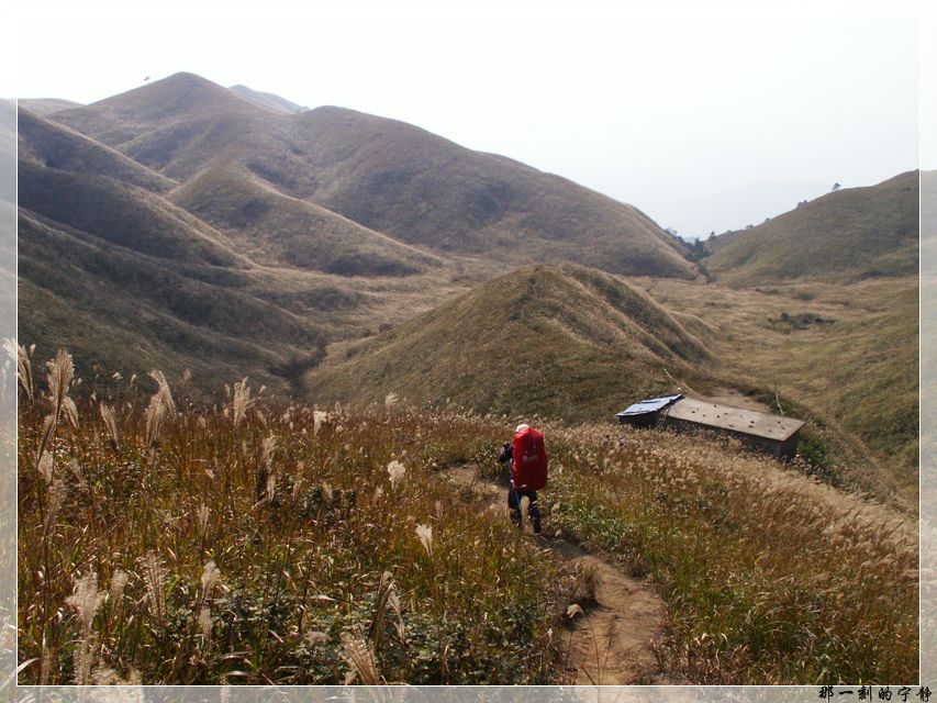 PICT0229.jpg