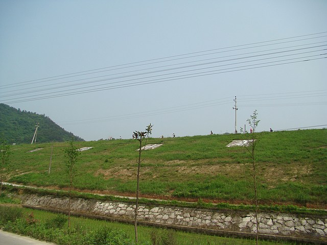 DSC05310f.jpg