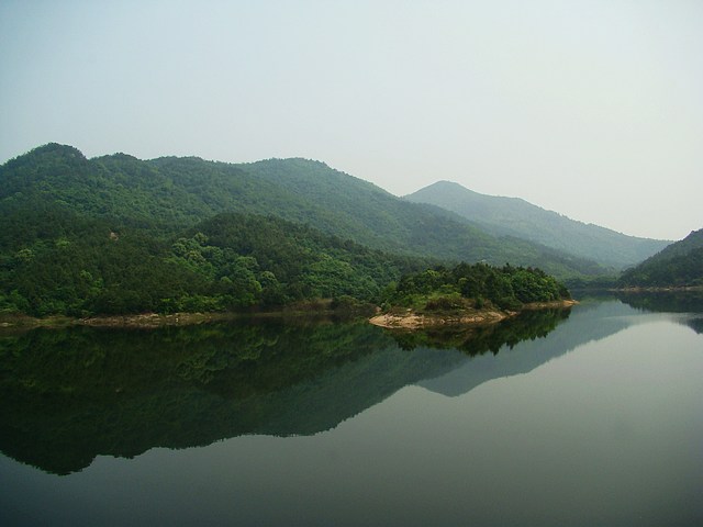 DSC05312f.jpg