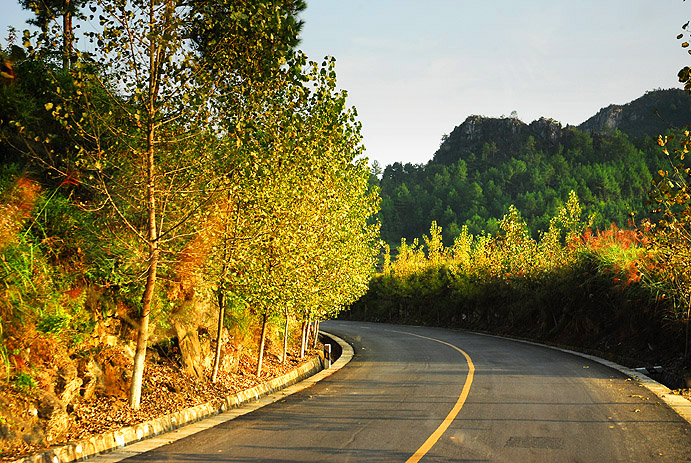 2007108201324416.jpg
