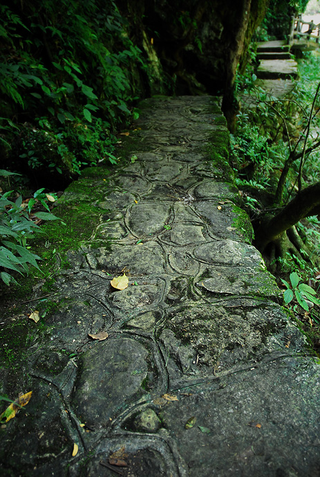 200710823137677.jpg