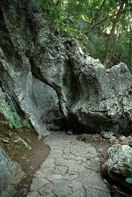 200710904354844.jpg