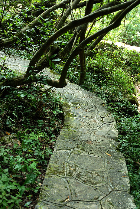20071090434032.jpg